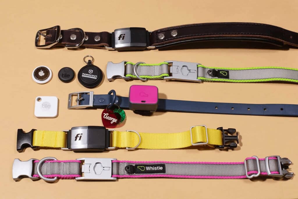 Cat GPS Collar